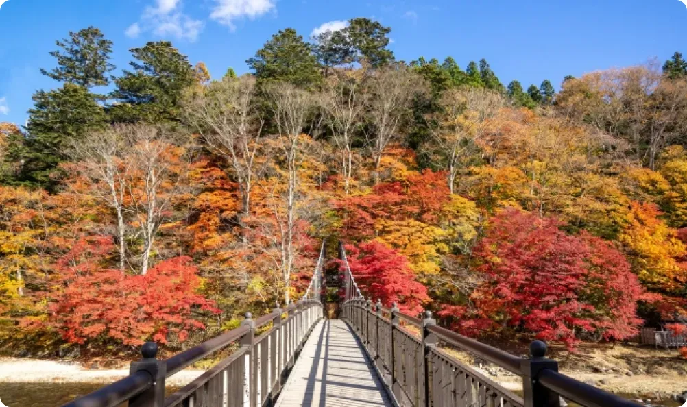 塩原もの語り館と紅の吊橋の紅葉｜塩原温泉郷の観光拠点