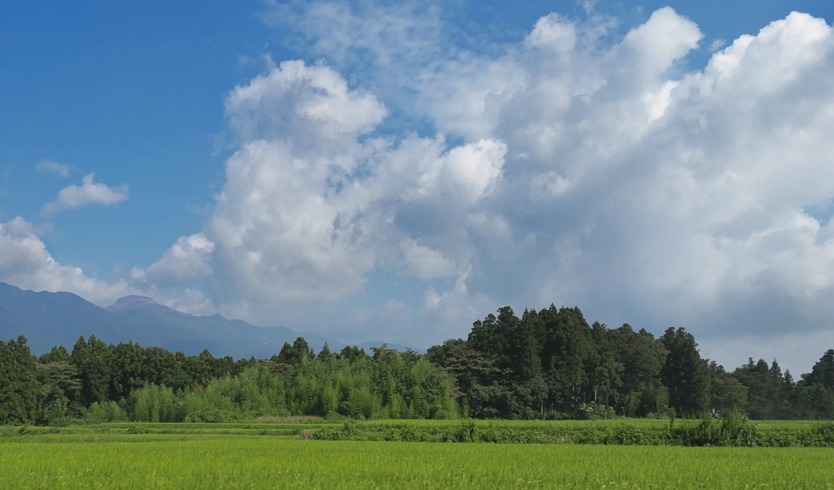 那須の自然に囲まれたトレーラーハウスでのグランピング体験